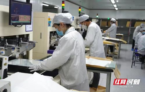 電子工匠展風采，勞務品牌促發(fā)展——冷水灘區(qū)以專業(yè)勞務品牌助力就業(yè)與產(chǎn)業(yè)雙贏